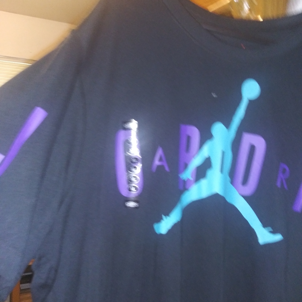 Jordan Stretch Logo shirt